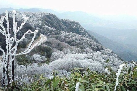 Chủ động phòng, chống rét đậm, rét hại kéo dài