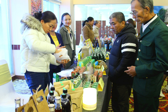 Quảng Bình: Kết nối cung cầu sản phẩm công nghiệp nông thôn tiêu biểu