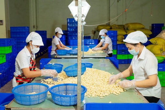 Phê duyệt đề án Xây dựng và công bố mức sống tối thiểu hằng năm làm căn cứ xác định các chuẩn chính sách xã hội