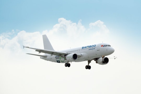 Bamboo Airways và những luồng gió mới: 5 năm nhìn lại