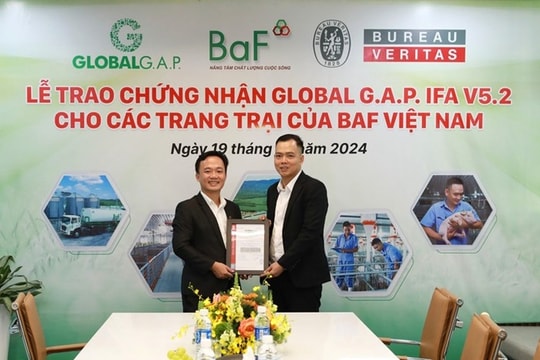 Trang trại chăn nuôi heo của BAF Việt Nam đạt chứng nhận quốc tế GLOBALG.A.P
