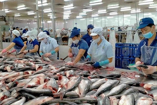 Lợi nhuận doanh nghiệp thủy sản sụt giảm mạnh, Nam Việt giảm gần 94% năm 2023