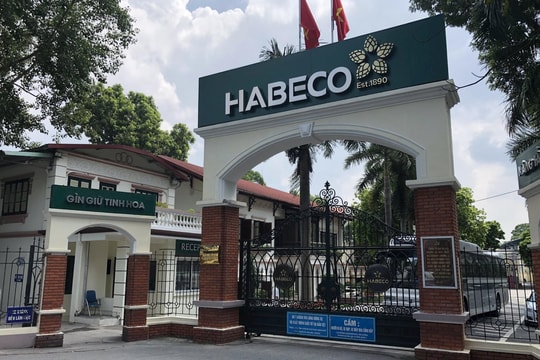 Cạnh tranh ngày càng gay gắt, lợi nhuận Habeco giảm còn 355 tỷ đồng năm 2023
