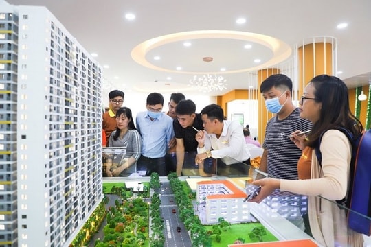 Vì sao Thông tư 22/2023/TT-NHNN làm "dậy sóng" thị trường?