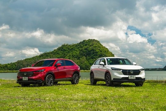 Giai đoạn khó khăn nhất của thị trường ô tô đã qua, Ford, Mazda hay Toyota, Honda sẽ vươn lên mạnh mẽ hơn?