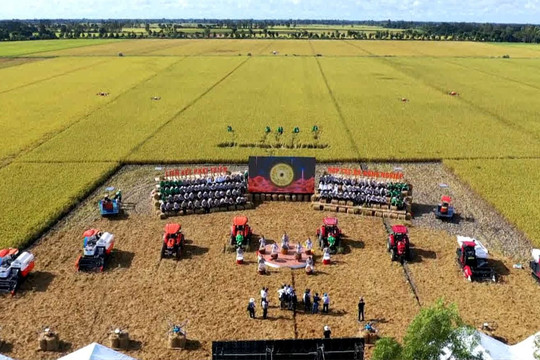Vốn tín dụng hỗ trợ phát triển kinh tế tập thể, hợp tác xã của hệ thống ngân hàng An Giang
