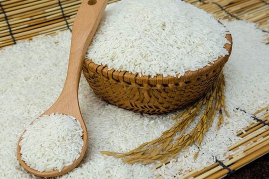 Căng thẳng biển Đỏ và dư lượng hóa chất làm giảm lượng gạo xuất khẩu đi châu Âu