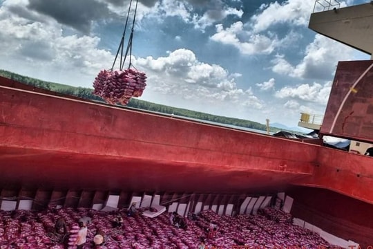 VFA yêu cầu hội viên tăng cường theo dõi diễn biến tình hình sản xuất và thị trường lúa, gạo