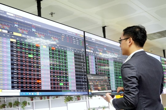 Hiệu suất Pyn Elite Fund “chiến thắng” VN-Index nhờ cổ phiếu ngân hàng