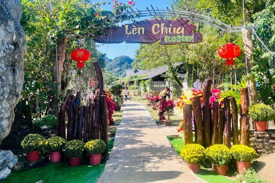 Du lịch nông nghiệp: Hướng phát triển bền vững của du lịch Quảng Bình
