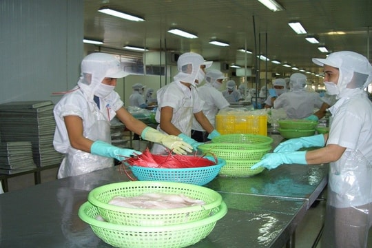 Mỹ tăng nhẹ thuế chống bán phá giá đối với nhà xuất khẩu cá tra Việt Nam so với mức thuế sơ bộ kỳ POR19
