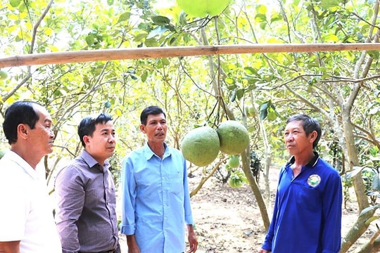 Đồng Nai: Dư nợ cho vay nông nghiệp, nông thôn đạt 113 nghìn tỷ đồng