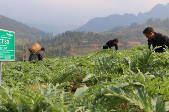 ĐHĐCĐ Traphaco: Không thể trì hoãn việc nâng cấp nhà máy chuẩn EU-GMP, phát triển thêm mảng tân dược