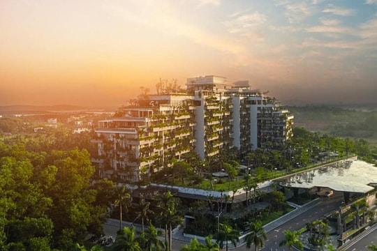 Doanh nghiệp xây loạt dự án nghỉ dưỡng ở Vĩnh Phúc, Hải Phòng, Thanh Hóa… báo lãi 175 tỷ đồng