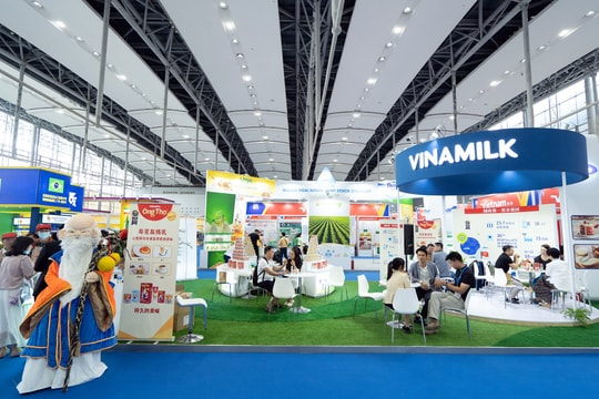 Đâu là động lực cho mảng xuất khẩu của Vinamilk 2024 đang trên đà đi lên
