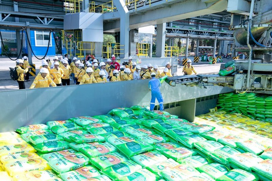 Gần 2.500 nông dân trải nghiệm tại nhà máy sản xuất phân bón Đạm Cà Mau