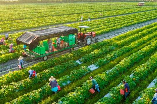 Phát triển hệ thống logistics nông nghiệp, nông thôn nhằm góp phần thúc đẩy tăng trưởng nông nghiệp Việt Nam bền vững