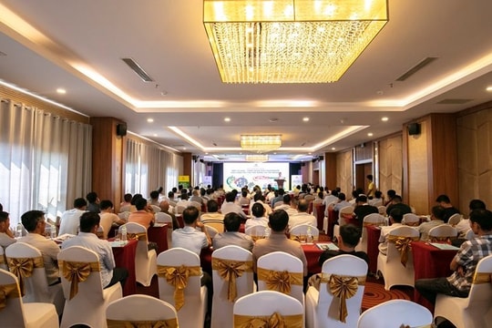 “Chìa khóa” vàng cho cây sầu riêng Tây Nguyên