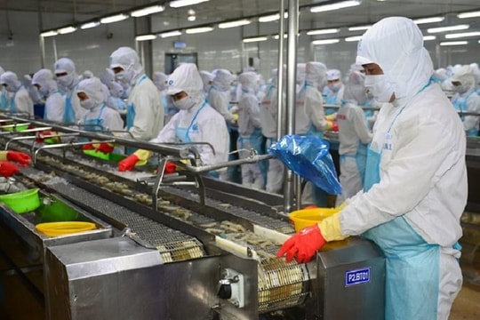 Xuất khẩu tôm sang Hàn Quốc giảm mạnh do không được hưởng ưu đãi thuế quan theo VKFTA