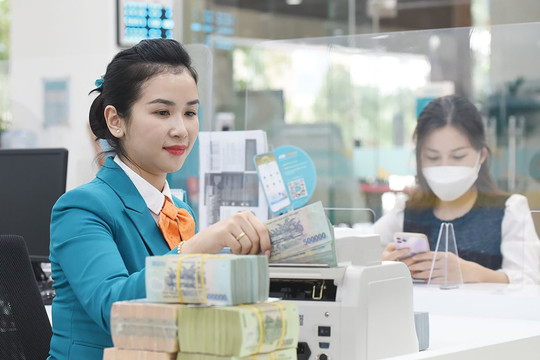 Tác động của cấu trúc vốn đến hiệu quả hoạt động của các ngân hàng thương mại cổ phần tại Việt Nam