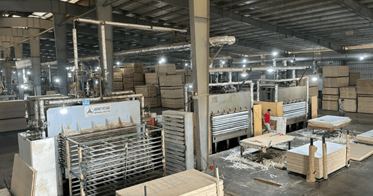 Nhiều doanh nghiệp xuất khẩu gỗ dán sang Hàn Quốc có nguy cơ đóng cửa