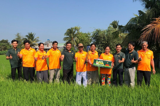 Lộc Trời ghi nhận doanh thu đạt 3.849 tỷ đồng trong quý I/2024