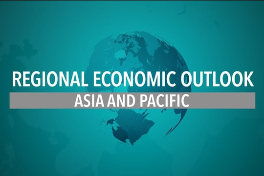 IMF nâng dự báo tăng trưởng châu Á lên 4,5% trong năm 2024
