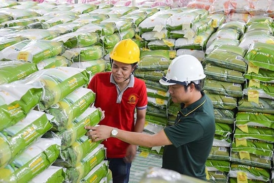 An Giang: Tín dụng lĩnh vực nông nghiệp phát huy hiệu quả