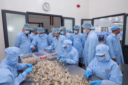 Sanvinest (SKV): Lợi nhuận quý I sụt giảm mạnh do "dồn sức" cho năm 2023, đặt mục tiêu xuất khẩu 250 tỷ đồng sang Trung Quốc