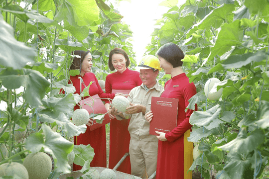 Agribank dành hơn 180.000 tỷ đồng vốn ưu đãi lãi suất thấp hỗ trợ khách hàng sản xuất, kinh doanh