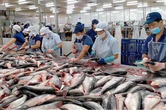 Phê duyệt Quy hoạch bảo vệ và khai thác nguồn lợi thủy sản thời kỳ 2021 - 2030, tầm nhìn đến năm 2050