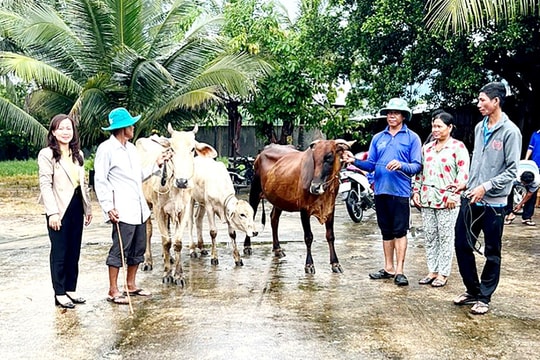 An Giang: Tháo gỡ khó khăn, tăng khả năng tiếp cận vốn tín dụng cho doanh nghiệp