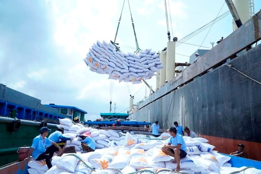 Phối hợp liên bộ trong áp giá sàn xuất khẩu gạo