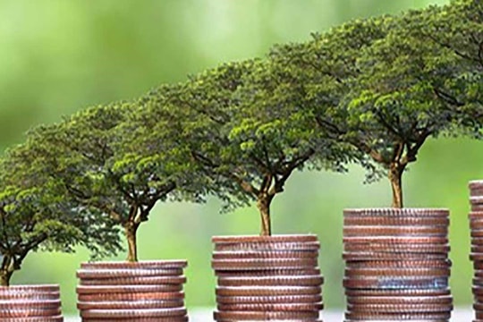 Ngân hàng Trung ương Trung Quốc và Singapore thúc đẩy hợp tác tài chính xanh