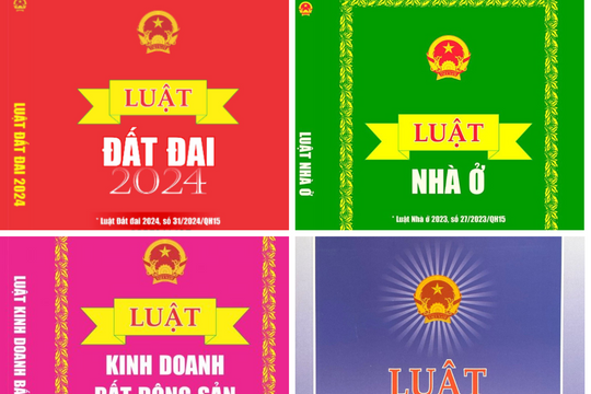 Đẩy nhanh tiến độ xây dựng, ban hành văn bản quy định chi tiết thi hành 4 Luật