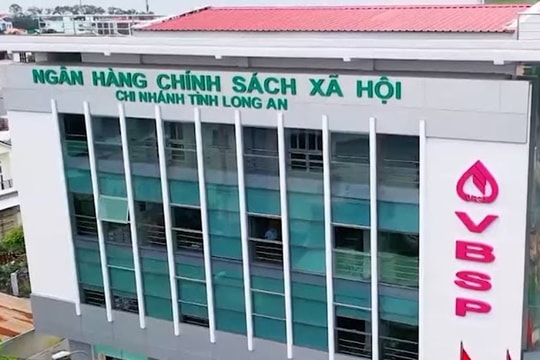 Vượt khó thoát nghèo nhờ vốn vay từ Ngân hàng Chính sách xã hội Long An