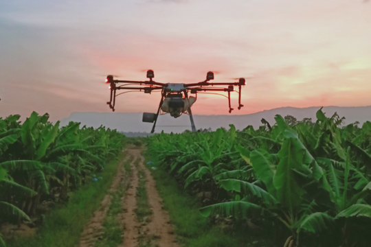 Thaco Agri báo lãi gần 42 tỷ đồng năm 2023