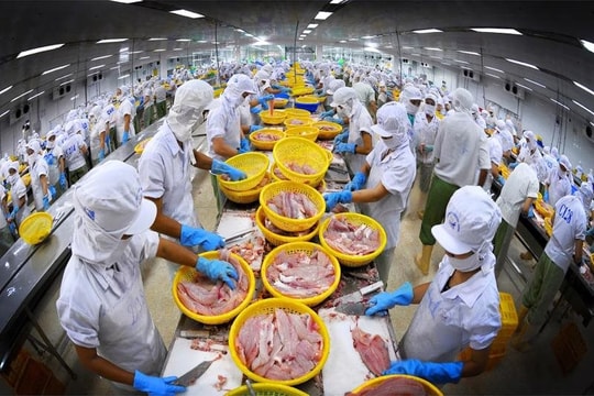 An Giang: Hướng dòng vốn tín dụng vào ngành kinh tế chủ lực của địa phương