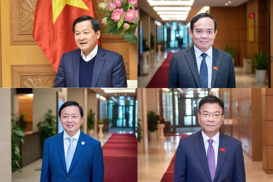 Phân công nhiệm vụ các Phó Thủ tướng