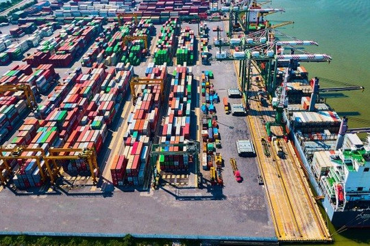 Viconship sau biến động nhân sự cấp cao và sự xuất hiện của cổ đông lớn duy nhất