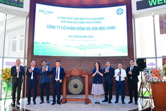 110 triệu cổ phiếu MCM của Công ty cổ phần giống bò sữa Mộc Châu chính thức niêm yết trên HOSE