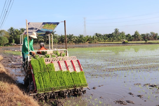 Tây Ninh: Nhiều giải pháp mở rộng tín dụng đối với hợp tác xã