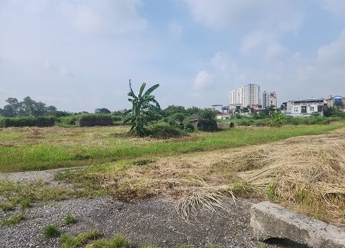 Khẩn trương rà soát, đề xuất giải pháp tháo gỡ vướng mắc cho các dự án tồn đọng, kéo dài