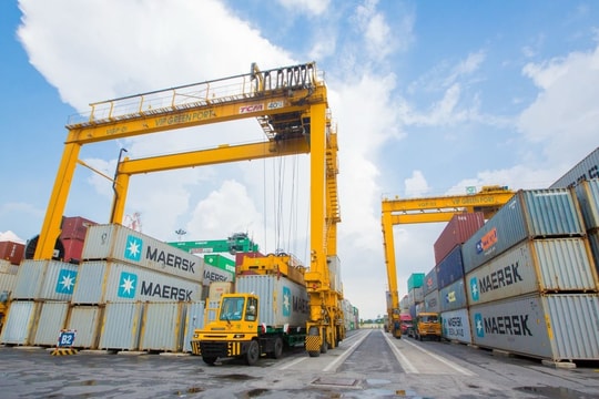 Viconship sắp nâng vốn lên gần 2.900 tỷ đồng, tăng vay nợ để thực hiện M&A
