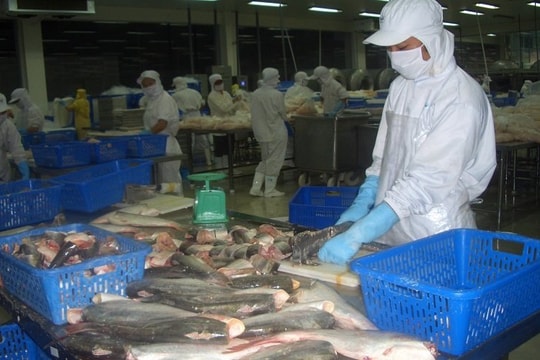 Tháng 6, kim ngạch xuất khẩu thủy sản đạt mức cao nhất kể từ đầu năm
