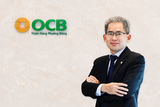 Ông Phạm Hồng Hải được bổ nhiệm Tổng Giám đốc OCB