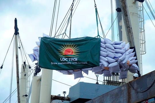 Thị trường trầm lắng kéo giá gạo xuất khẩu xuống thấp hơn giá Lộc Trời bỏ thầu Bulog