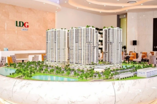 LDG bị yêu cầu mở thủ tục phá sản, cổ phiếu dư bán sàn khối lượng lớn