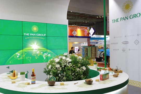 PAN Group báo lãi bán niên tăng 40%, nợ vay gấp hơn 1,5 lần vốn chủ sở hữu