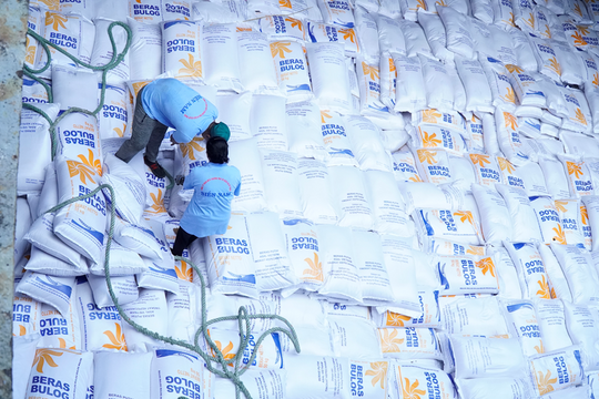 Cục Xuất nhập khẩu đề nghị các doanh nghiệp đấu thầu quốc tế gạo Bulog thực hiện nghiêm Nghị định 107